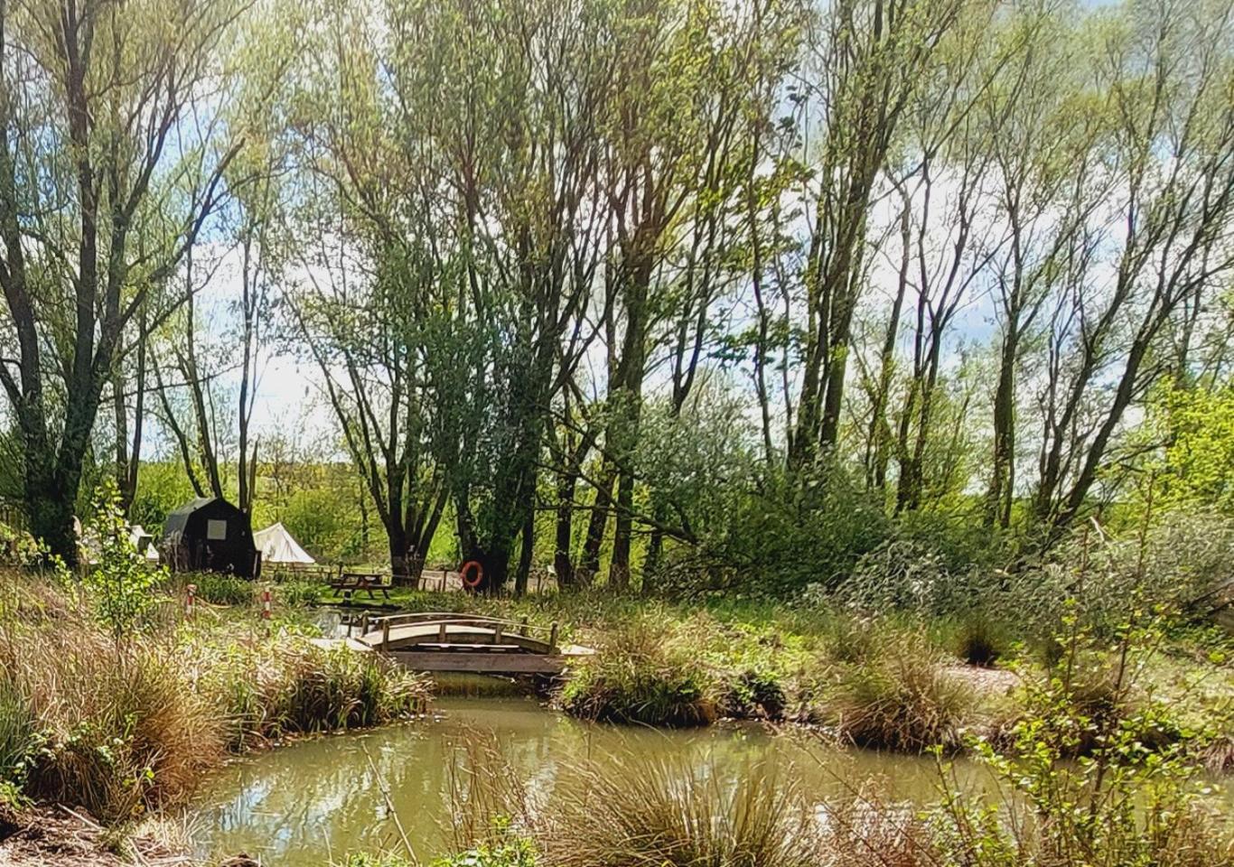 Rum Bridge Fisheries "The Cabin" Hotel Clare Bagian luar foto